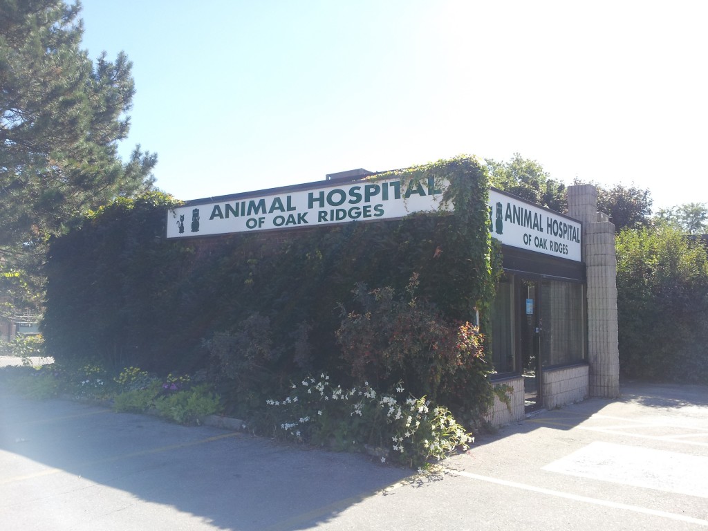 Our Hospital – Animal Hospital of Oak Ridges